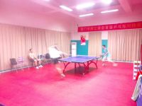 乒友循环交流积分赛